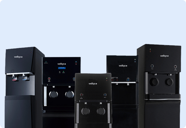 partner-wellsys